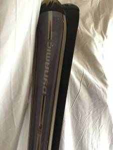 Dynamic Skis