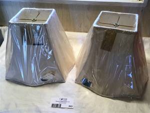 Specialty Lamp Shades #2, Set of 2