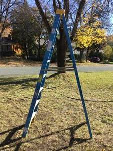 Werner 8 ft Step Ladder