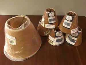 Set of 6 Northern Exposure Lamp Shades