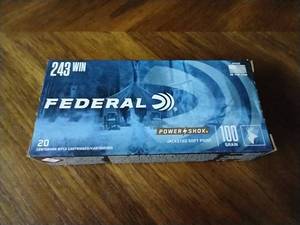 20 Rounds .243 Jacketed Soft Point Ammunition