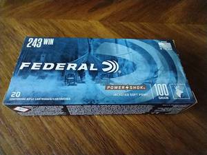 20 Rounds .243 Jacketed Soft Point Ammunition