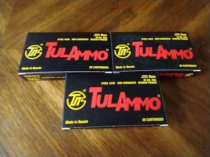 60 Rounds .223 FMJ Ammunition