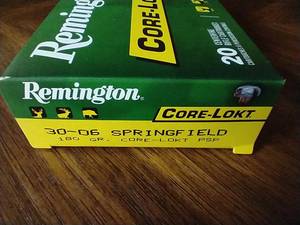 20 Rounds 30-06 Core-Lokt Ammunition