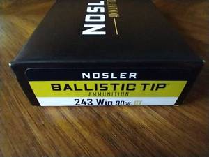 20 Rounds .243 Ballistic Tip Ammunition