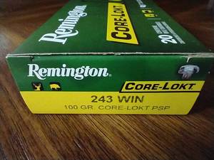 20 Rounds .243 Core-Lokt Ammunition