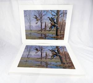 lot 165 image: Lot of 100 Vintage David Maass Mirrored Solitude Prints