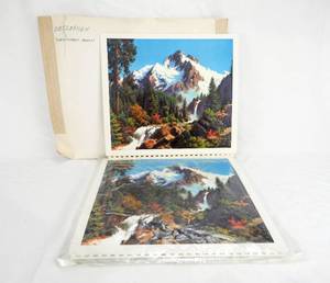 lot 225 image: Lot of 10 Vintage Paul Detlefsen Snow Capped Peaks Formcraft Vacuum Form Prints