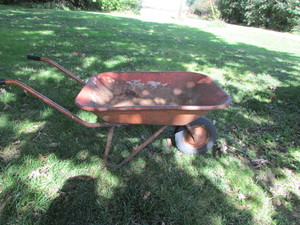 lot 14 image: Wheel Barrow