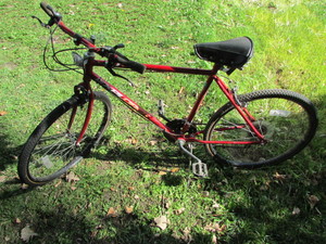 lot 22 image: Bicycle