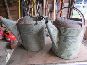 lot 46 image: Vintage Watering Cans