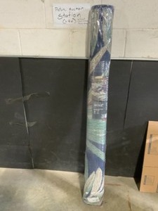 Hampton Bay Blue Palm 5 ft. x 7 ft. IndoorOutdoor Area Rug. See Pictures