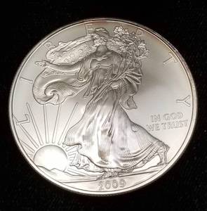 2009 AMERICAN SILVER EAGLE 1 TROY OZ .999 FINE SILVER DOLLAR