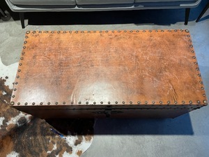 lot 5 image: Rustic Brass Tack Studded Trunk
