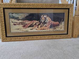 Wall Art Tigers Resting In The Sun By. W. Kuhnert
