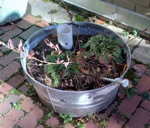 lot 178 image: Cute Silver Metal 24 Bucket Planter