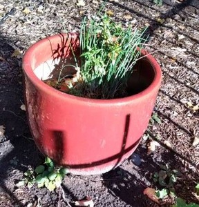 lot 1103 image: Red Planter