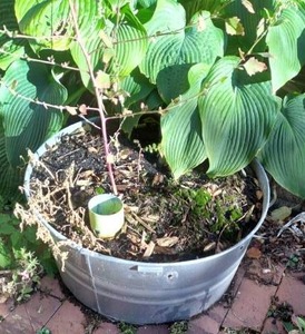 lot 1117 image: 24 Round Bucket Planter