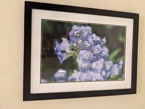 lot 37 image: Adorable Framed Floral Artwork