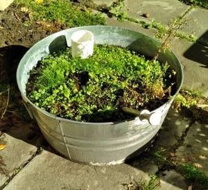 lot 159 image: Silver Metal 24 Bucket Planter