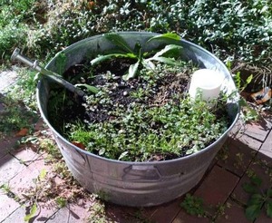 lot 171 image: Small Silver Metal 24 Bucket Planter