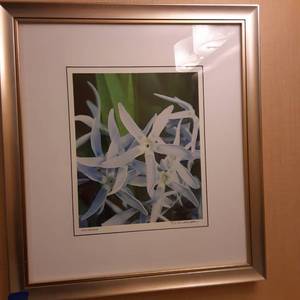 lot 797 image: Into the Blue Framed Wall Art