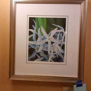 lot 817 image: Into the Blue Framed Wall Art