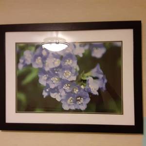 lot 841 image: Gorgeous Framed Floral Portrait