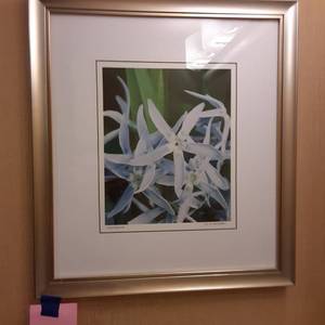 lot 1002 image: Into the Blue Framed Wall Art
