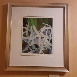 lot 500 image: Stunning Into the Blue Framed Wall Art