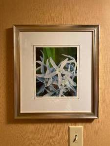 lot 570 image: Into the Blue Framed Wall Art