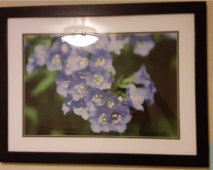 lot 781 image: Gorgeous Framed Floral Portrait