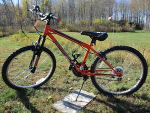 lot 17 image: Orange Mountain Sport Bicycle