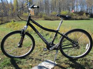 lot 20 image: Specialized Adult Bicycle