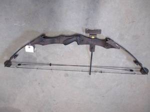 lot 43 image: Golden Eagle Compound Bow