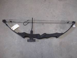 lot 45 image: Golden Eagle Compound Bow