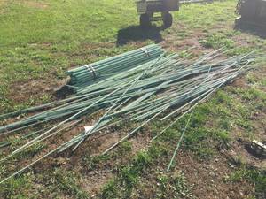 Variety Green Rebar