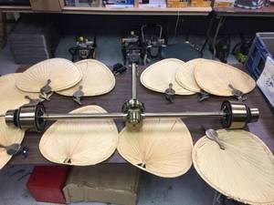Exotic Fanimation Palisade Double Ceiling Fan