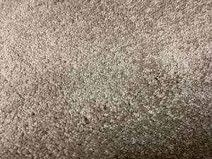 90 SF of Plush Broadcast Carpet - 12x7.5 - Grey