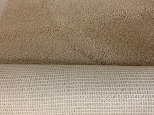 96 SF of Plush Carpet - 12x8.5, Beige