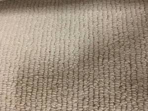 144 SF of Shaw Berber Carpet - 12x12 - Off White