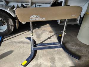 lot 56 image: American Elite Pommel Horse...