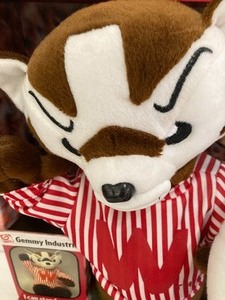 lot 220 image: Badger Fan Pack - Go Big Red
