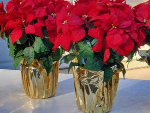 lot 113 image: (3) Seasonal Faux Poinsettia Home Decor Lot