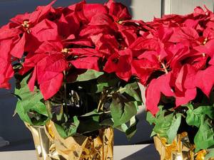 lot 117 image: (3) Seasonal Faux Poinsettia Home Decor Lot