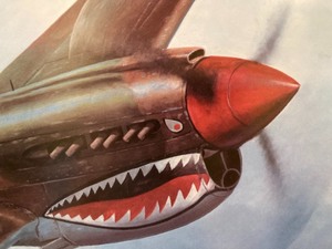 lot 200 image: P-4E Warhawk Framed and Signed Artwork by Kenneth Fox