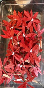 lot 274 image: Vintage Holiday Decor