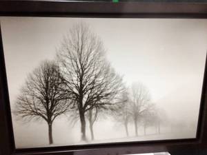 lot 45 image: Lovely Snowy Day Forest Picture