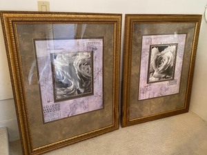 lot 20 image: Pair of Gold Framed Floral Prints