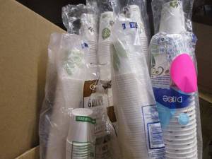 Disposable Cups